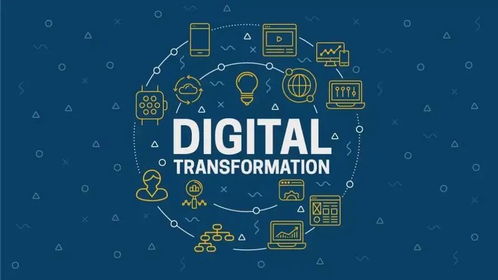 集成与辅助运营组合 伙伴赋能与行业数字化转型的协同实践